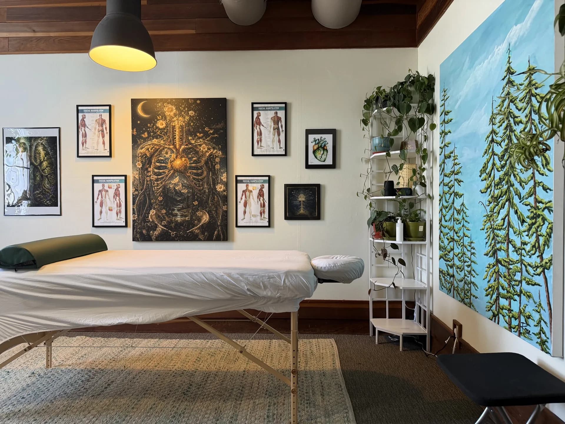 Massage table beside a shelf of plants and framed anatomy prints