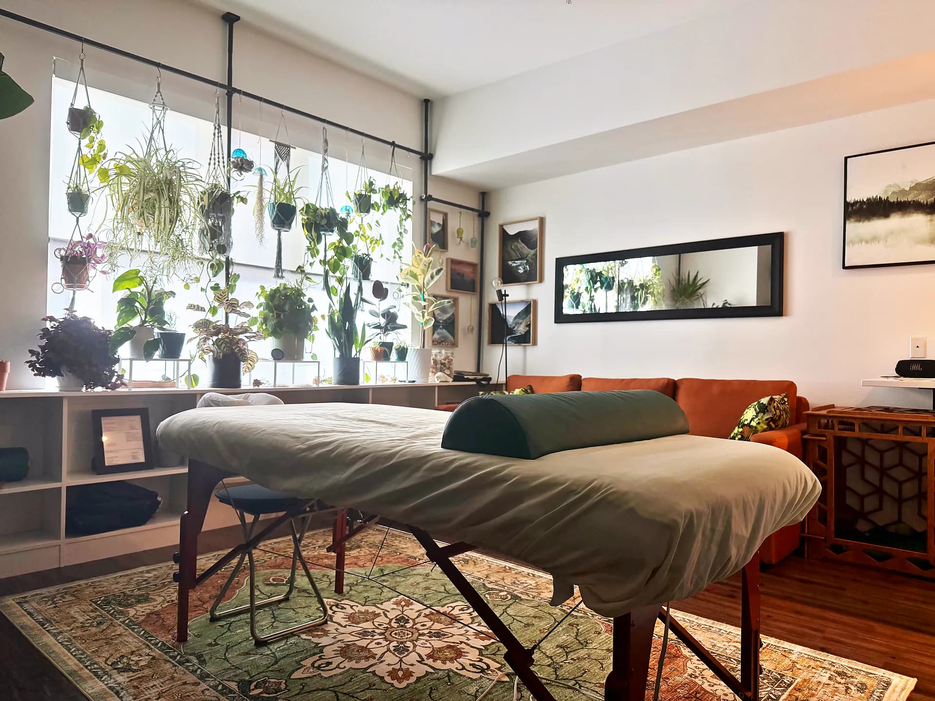 Portland treatment room with a wall of hanging plants in the window and a seating area