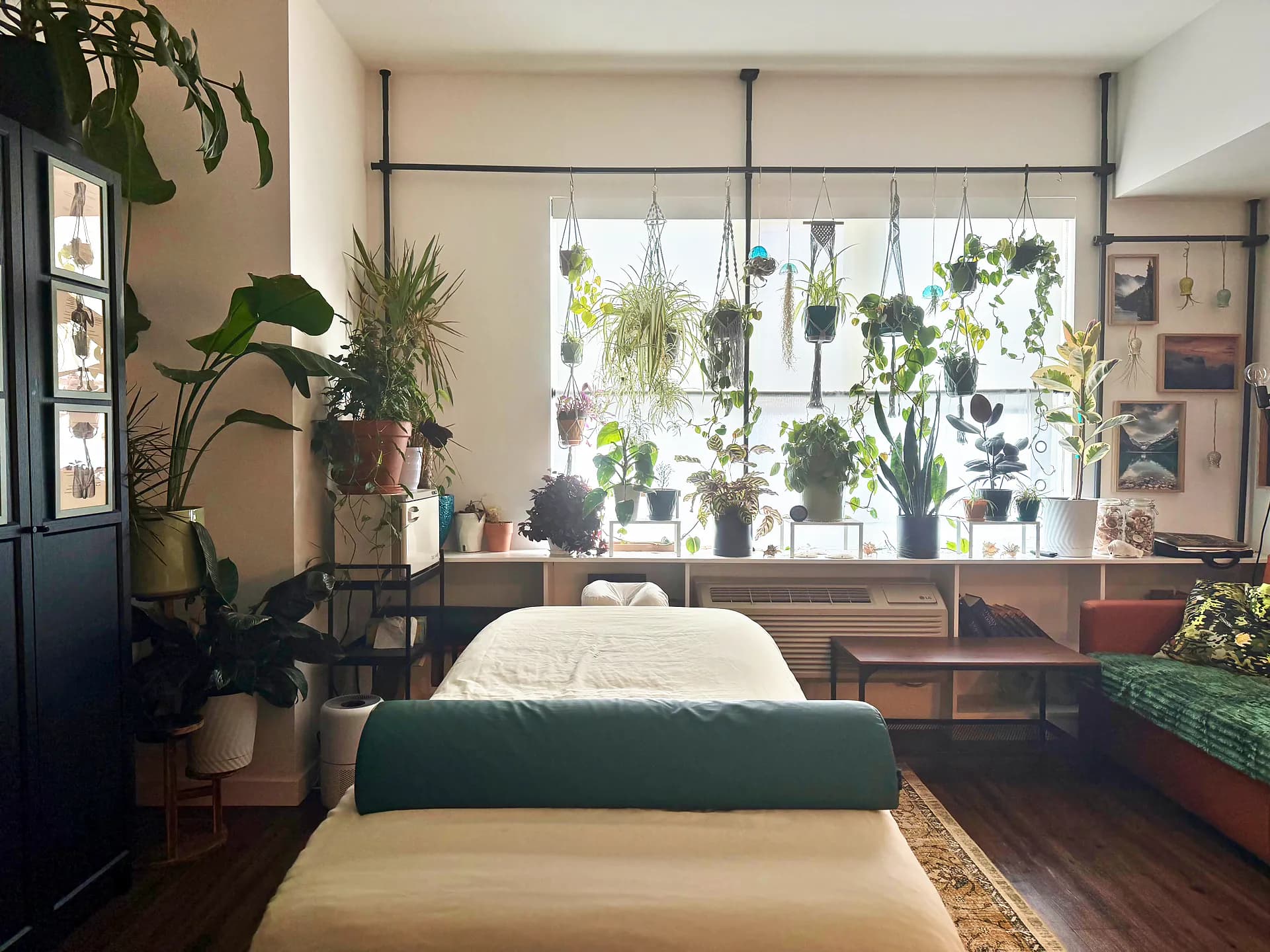 View from the head of the massage table toward a window of hanging plants