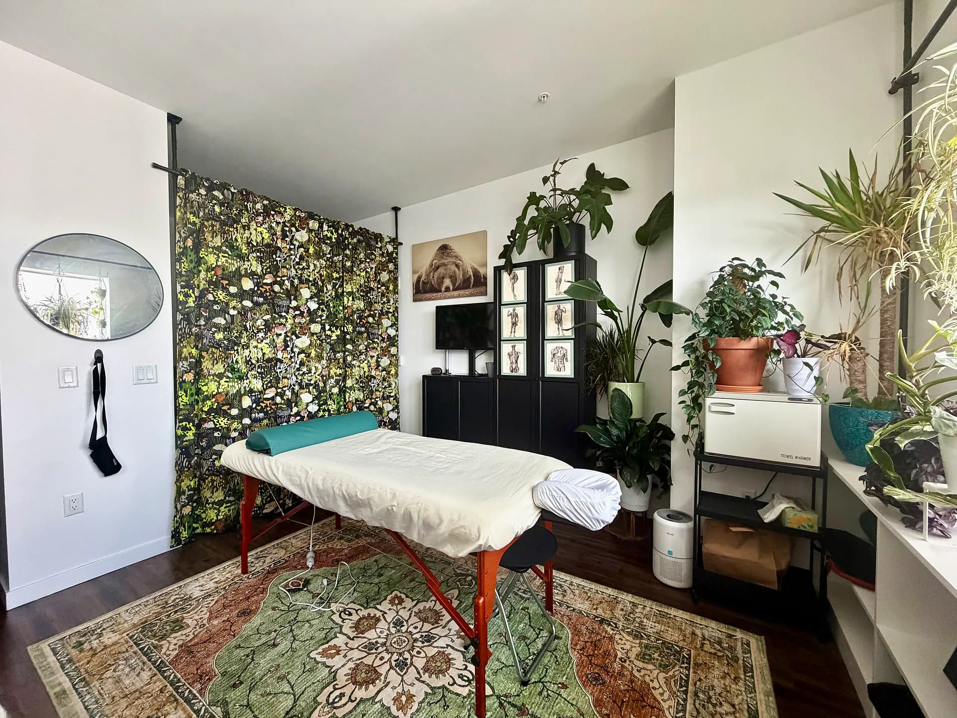 Wide view of the Portland treatment room with massage table, anatomy prints, and plants
